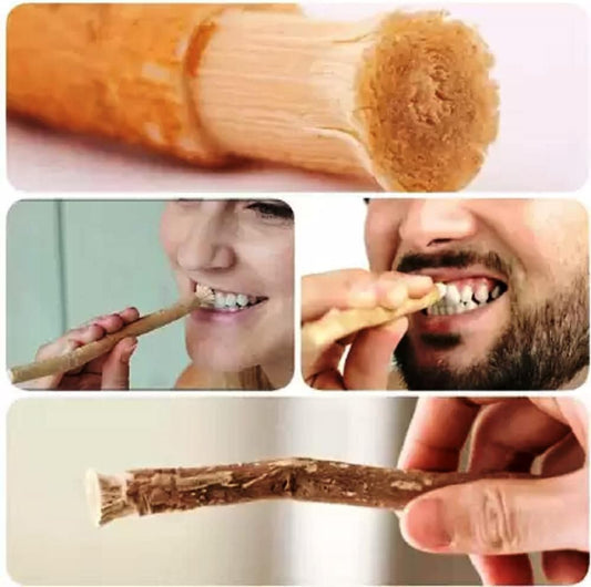 Natural Traditional Miswak (Sewak) Peelu Chewing Stick Toothbrush for Whiter Teeth -10Pc